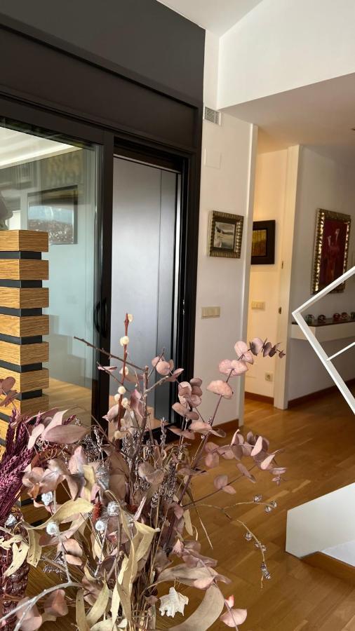 Atico De Diseno Con Terraza En El Centro De Olot Lägenhet Exteriör bild